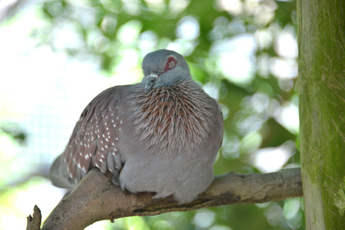 World of Birds Wildlife Sanctuary.